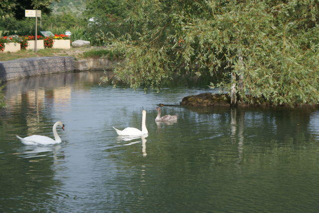 Lahntal-Rheinradweg-20090070