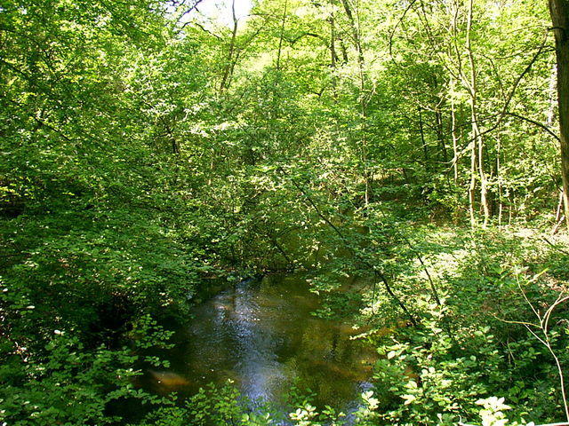 Spreeradweg-20070029