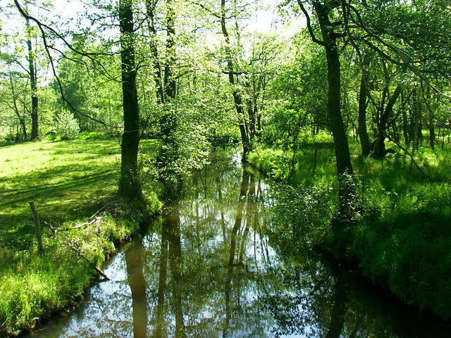 Spreeradweg-20070031