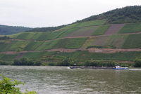 Lahntal-Rheinradweg-20090015