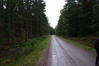 Schweden-Kuestenradweg-20100040